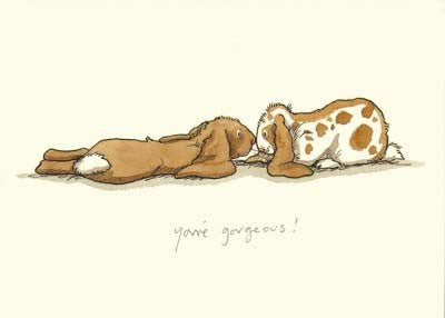 You're Gorgeous Greetings Card - TBM025